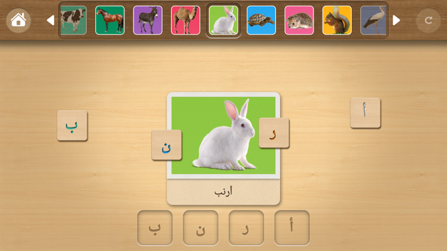 Learn Arabic Words & Alphabet(圖8)-速報App