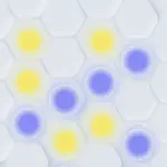 Hexagonal4-in-a-low Multiplay App Support