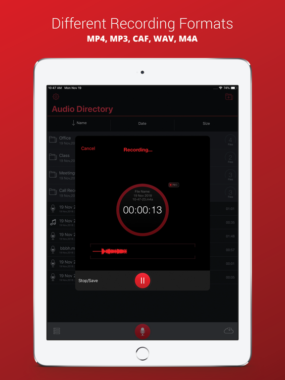 Voice Recorder Plus Pro Screenshots