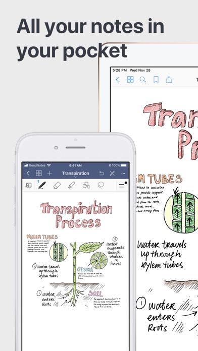 goodnotes equivalent for android