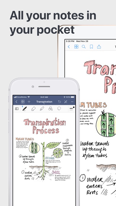 GoodNotes 5 App Download Android APK