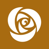 amber-garden (フラワー＆グリーン)