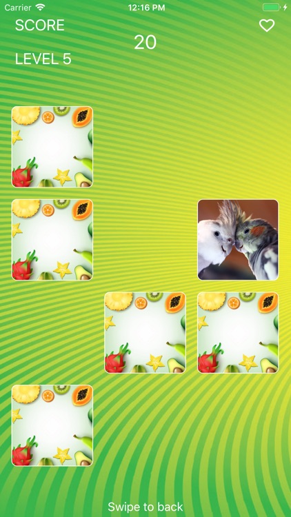 Parrot World Memory Trainer screenshot-4