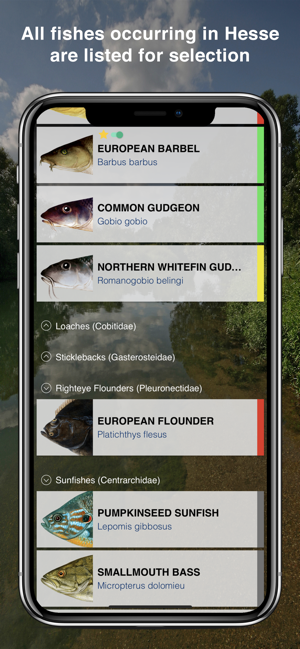 Fishguide Hessia(圖2)-速報App