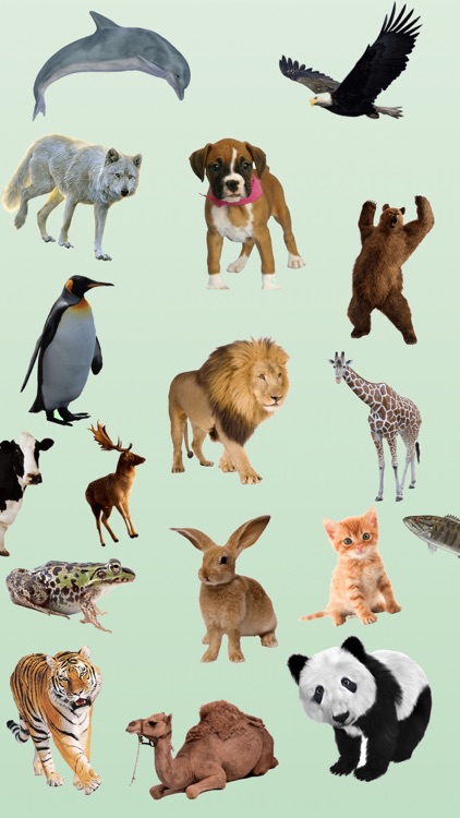 Real Animals Emoji Stickers