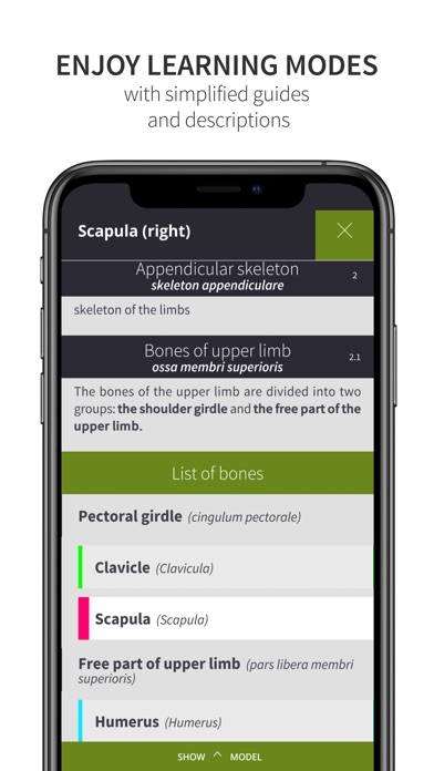 【图】Anatomyka Skeleton(截图2)