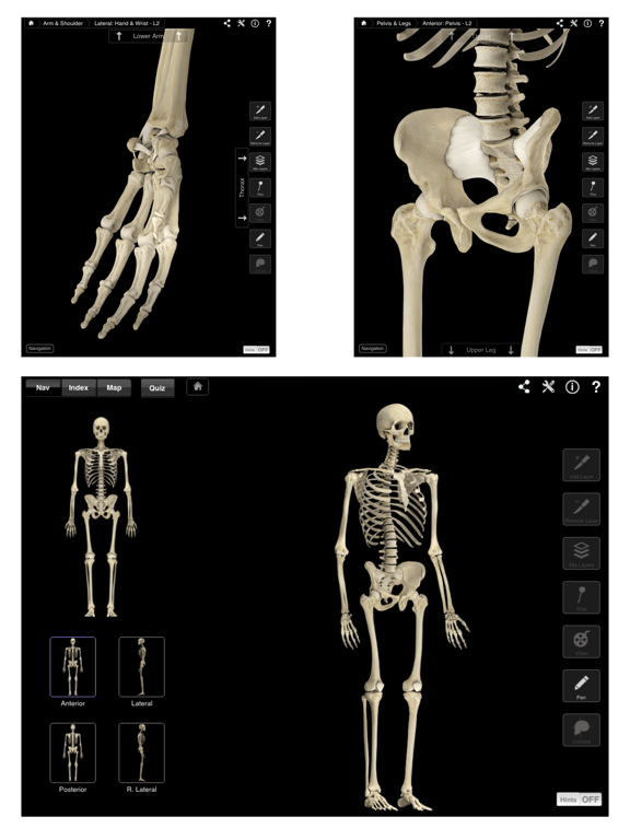Skeleton System Pro III Screenshots