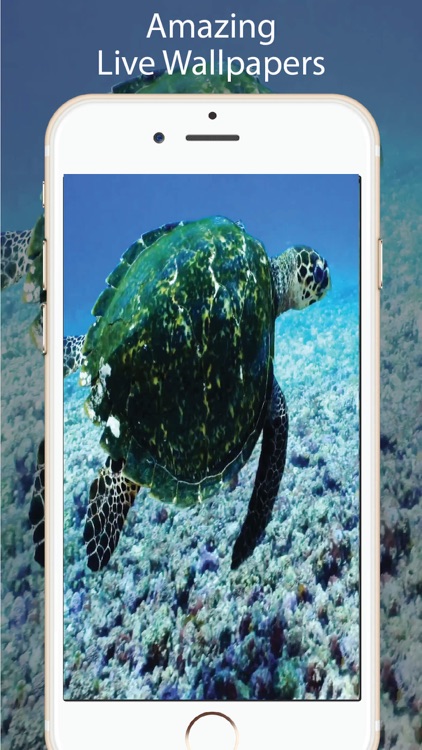 Aquarium Live Wallpapers for U screenshot-3