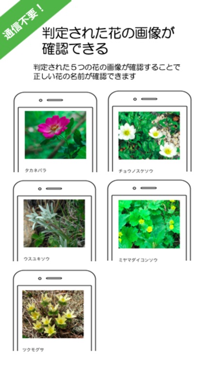 山の花-AI判定アプリ