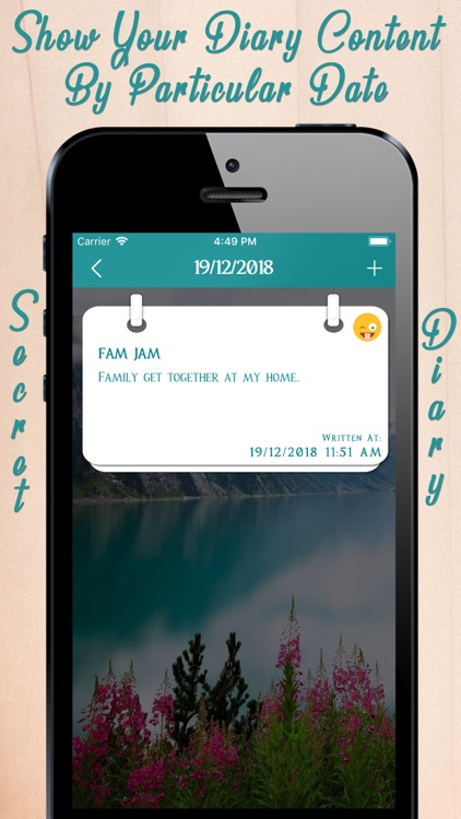 My Password Secret Diary screenshot-4
