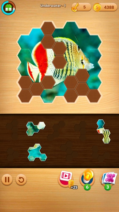 Puzzles Ⓞ Jigsaw Puzzles HexaCapture d'écran de 3