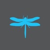 Dragonfly - Market Research