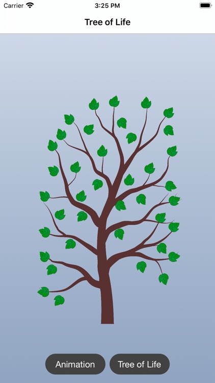 Tree of Life - Family Tree screenshot-8