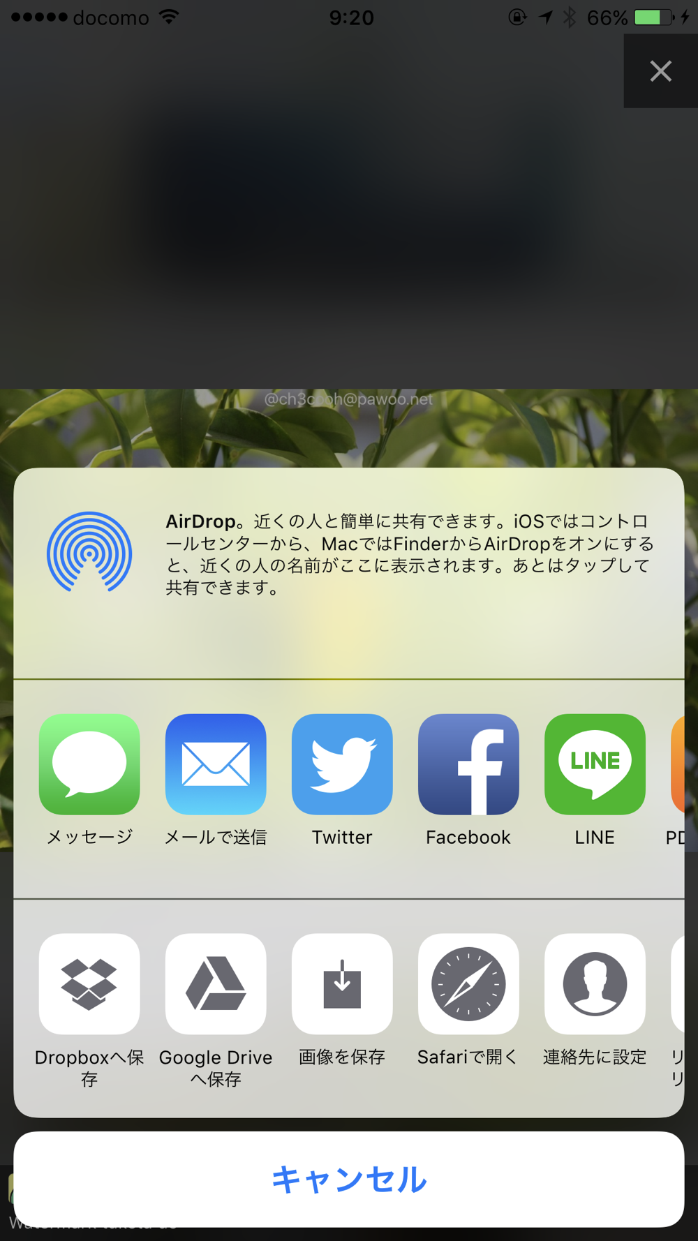 Ore2 For Twitter Mastodon Download App For Iphone Steprimo Com