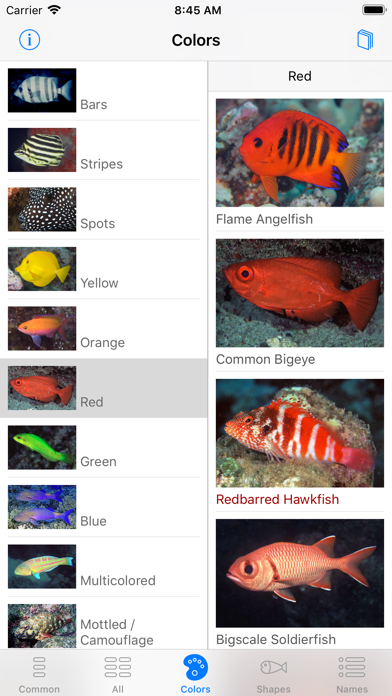 Scuba Fish Hawaii screenshot 1