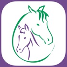 Top 23 Reference Apps Like Stretch Your Horse - Best Alternatives