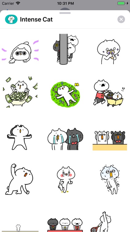 Intense Cat Animated Stickers
