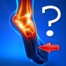 Get Anatomy Foot Quiz for iOS, iPhone, iPad Aso Report