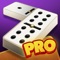 No bones about it, this fun and challenging domino's game will amaze you