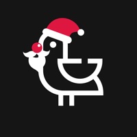 Dazzle - Insta stories editor