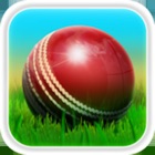 Top 40 Games Apps Like Cricket 3D : Street Challenge - Best Alternatives