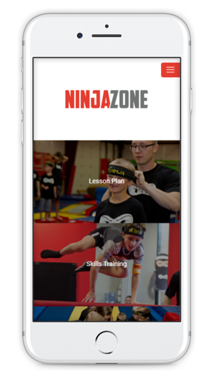 Ninja Zone