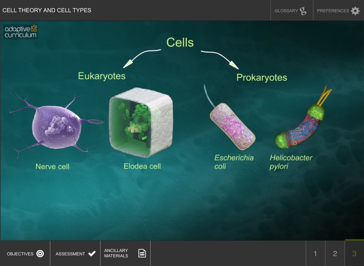 Cell Theory and Cell Types screenshot-3