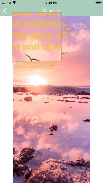 PM-Picture Magnifier