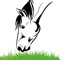 This app allows allows you to enter your horse's feeding information, then provides an analysis of the nutrients in the feed ration