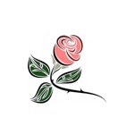 زهرات عمان