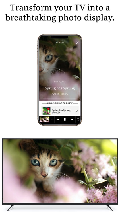 Pixo Photo Display screenshot-0