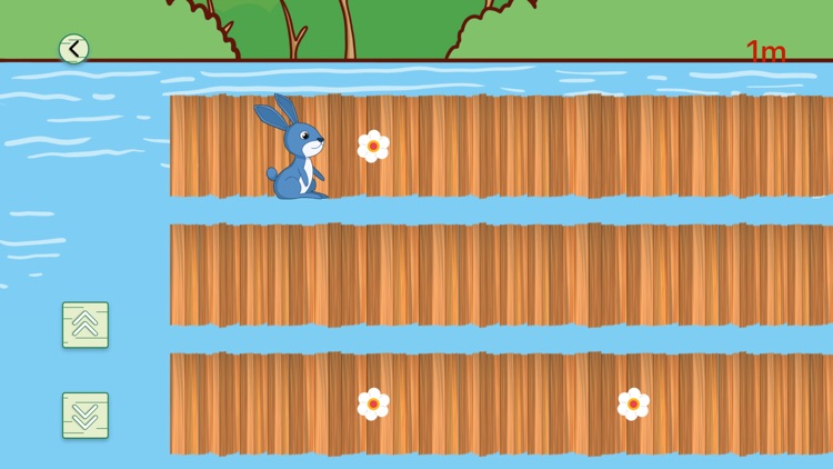 Dangerous Wooden Bridges