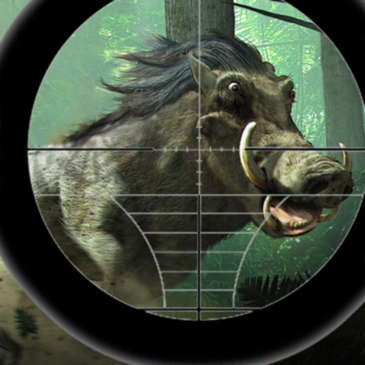 Pig Hunting Shooting Game iOS App