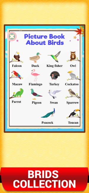 First Words Picture Book Game(圖2)-速報App