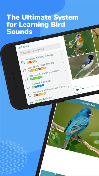 Larkwire Learn Bird Songs