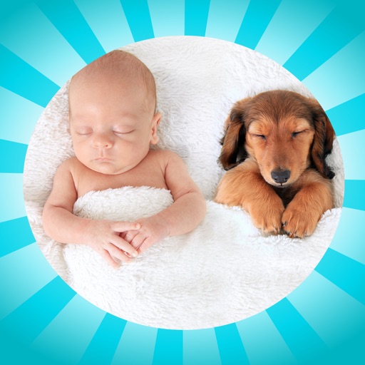 BabyAnimalWheel