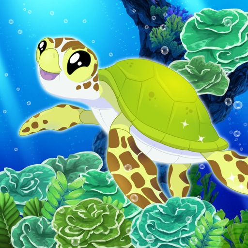 Splash: Ocean Sanctuary