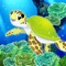 Welcome to Splash - a beautiful and relaxing ocean game