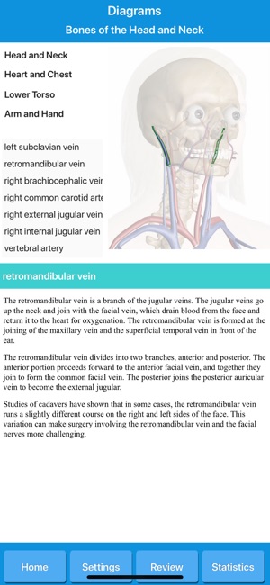 Circulatory System Anatomy(圖8)-速報App