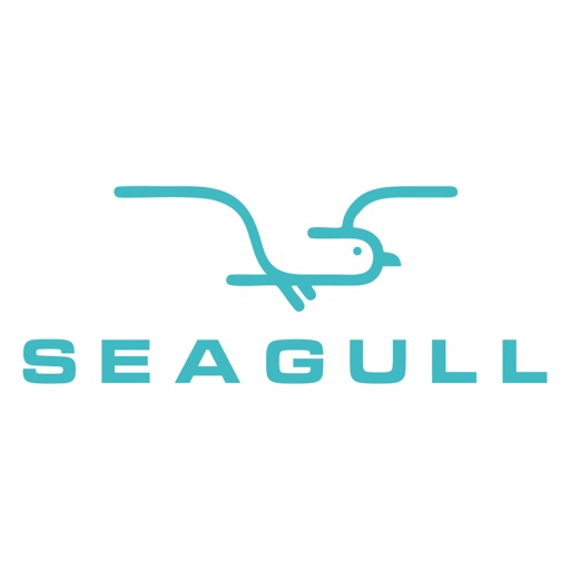 Seagull - ride with pleasure