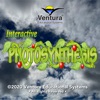 Interactive Photosynthesis
