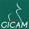 This application allows you to follow GICAM news continuously and to join in one click