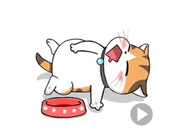 Slack The Lazy Cat Stickers