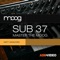 The Moog Sub 37, built on the Sub Phatty sound engine, is a powerful synth