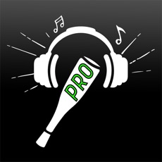 Activities of AudioBat