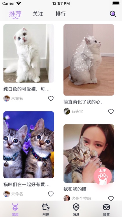 交易猫Cat社区-全新2021猫咪宠物交流社区