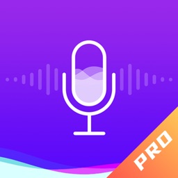 百变变声器pro
