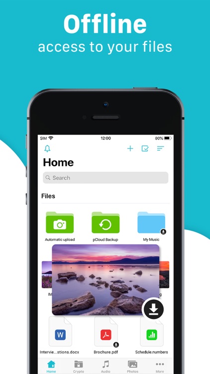 pCloud - Cloud Storage screenshot-5