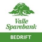 Valle Sparebank Bedrift.