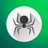 Spider Solitaire Card Game.